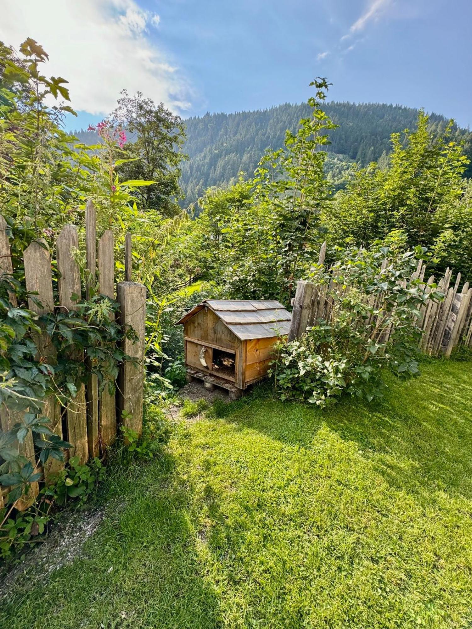 Appartement Haensel & Gretel Werfenweng Extérieur photo